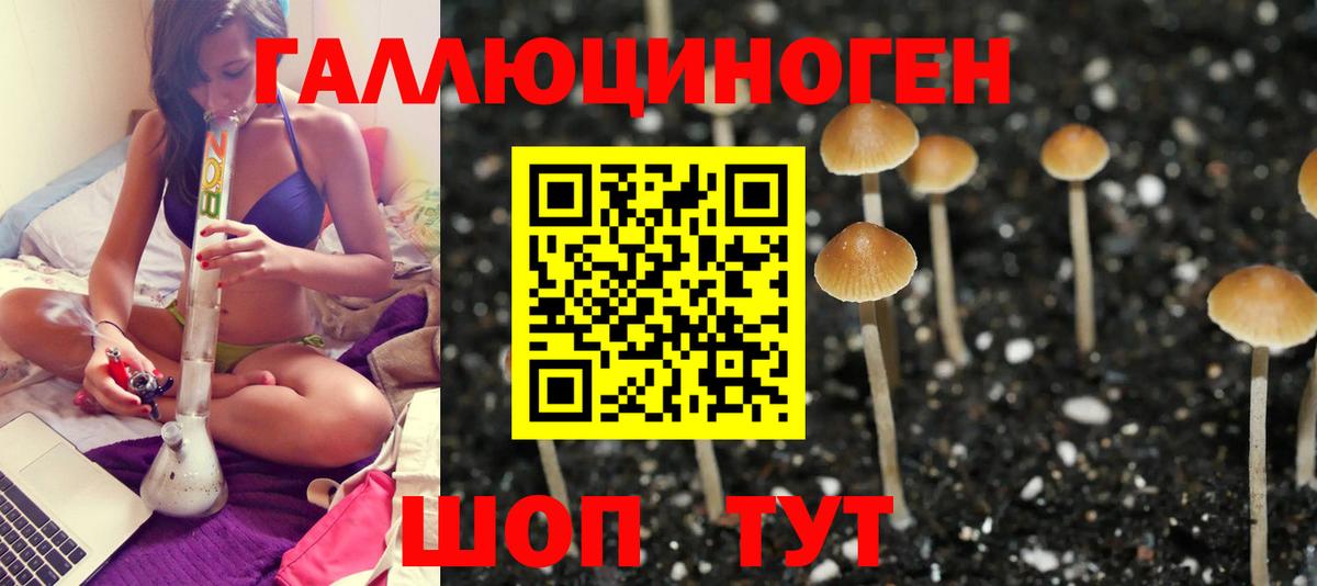 Псилоцибиновые грибы GOLDEN TEACHER  Галлюциногенные грибы Psilocybe  Ртищево  Вход с VPN 